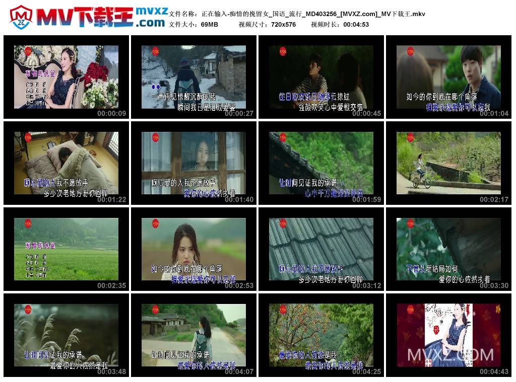 正在输入-痴情的挽留女_国语_流行_MD403256